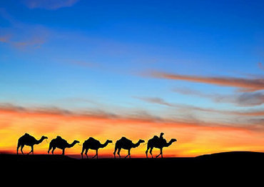 2 notti di trekking in cammello a Merzouga